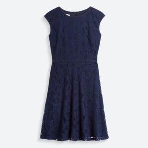 Petite Lace Knit Dress